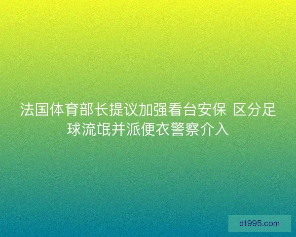 法国体育部长提议加强看台安保 区分足球流氓并派便衣警察介入