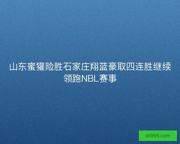 山东蜜獾险胜石家庄翔蓝豪取四连胜继续领跑NBL赛事