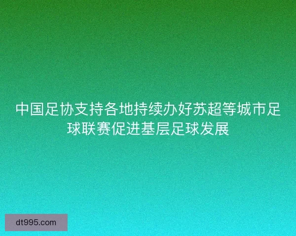 中国足协支持各地持续办好苏超等城市足球联赛促进基层足球发展
